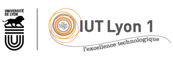 Section parapente IUT Lyon 1